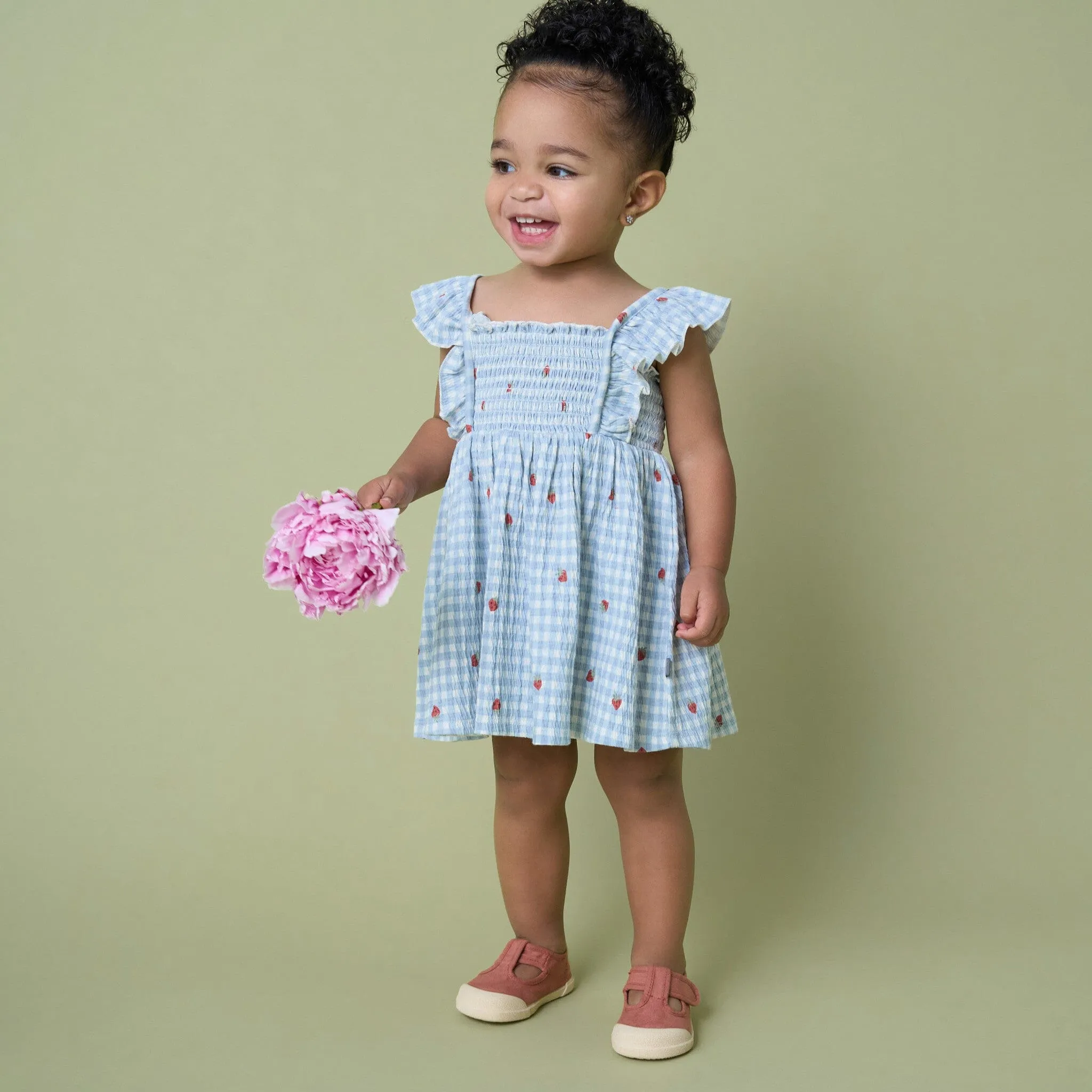 2-Piece Baby Girls Strawberry Gingham Ruffle Sleeve Dress and Diaper Cover Set