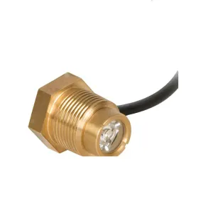 Atlantic Warm White Wall Spout Light