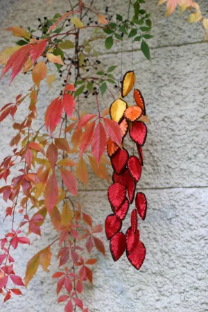 Autumn leaves 1