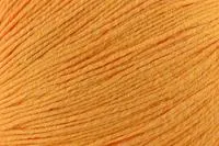 Bamboo Pop