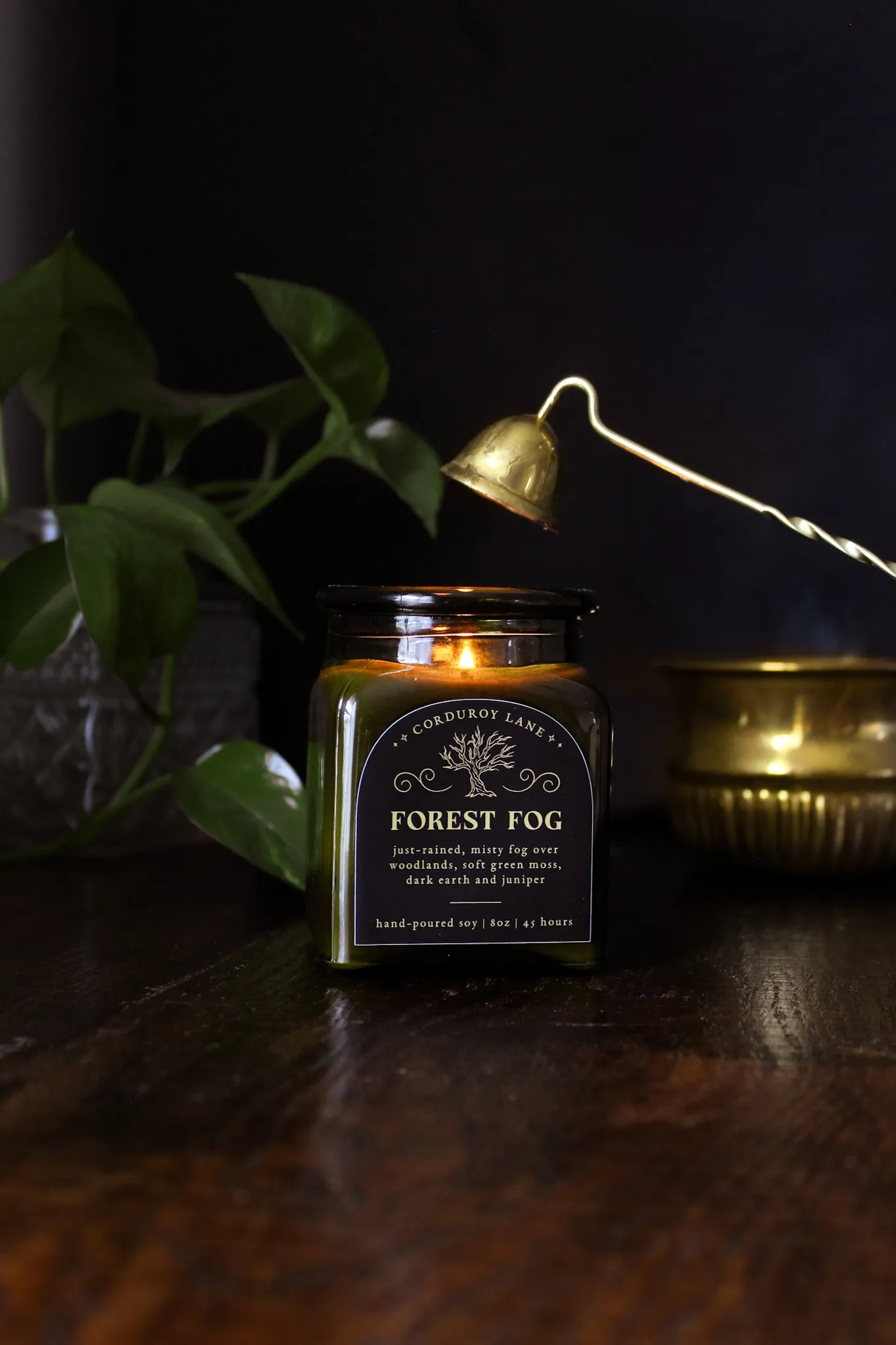 Forest Fog Apothecary Candle