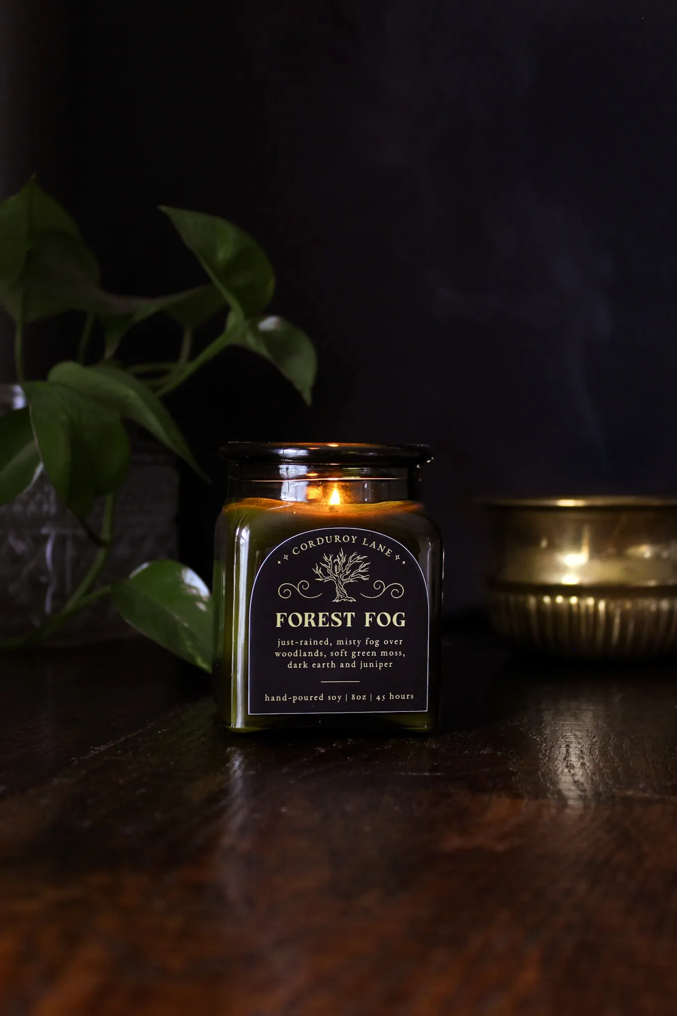 Forest Fog Apothecary Candle