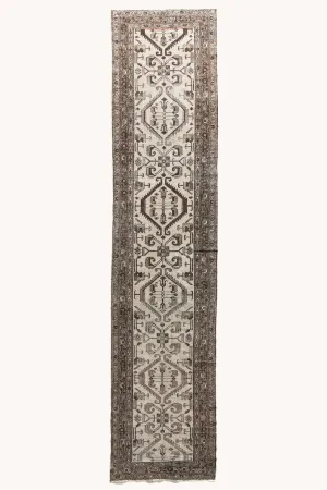 Galton | 3' x 13'