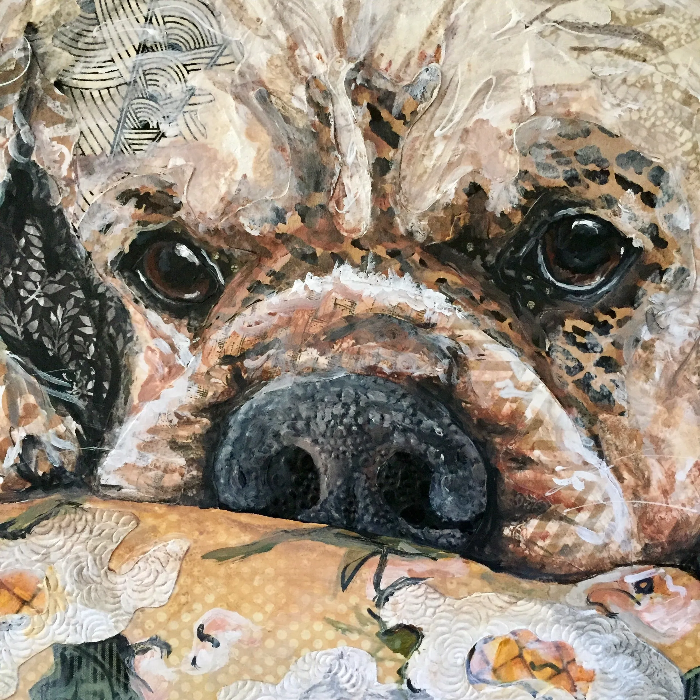Gidget - Cocker Spaniel