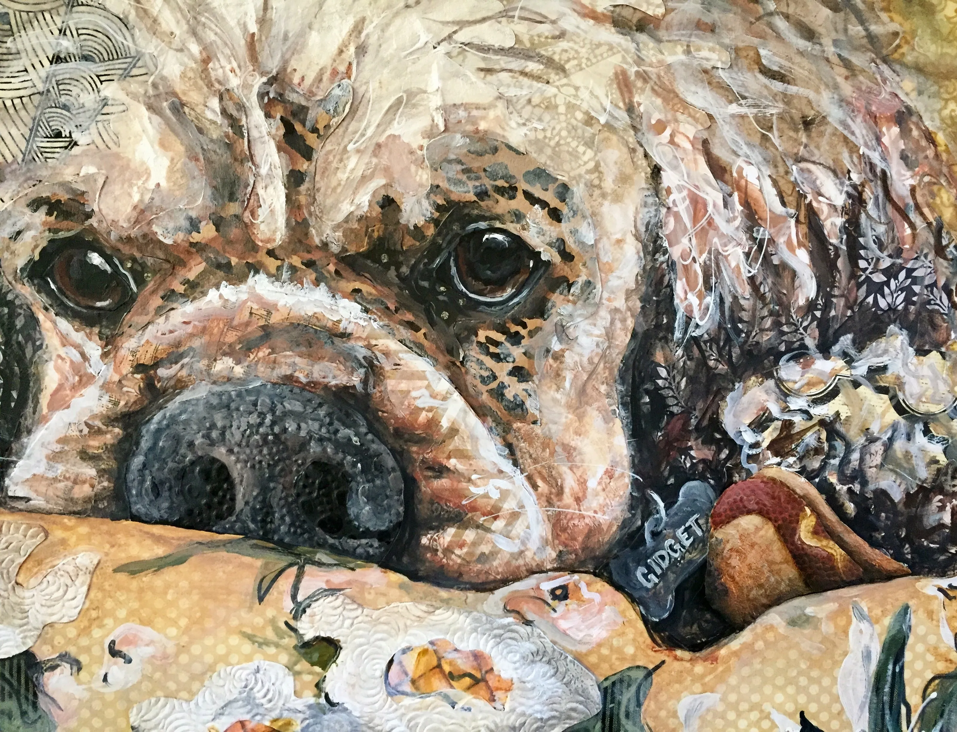 Gidget - Cocker Spaniel