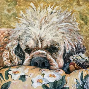 Gidget - Cocker Spaniel