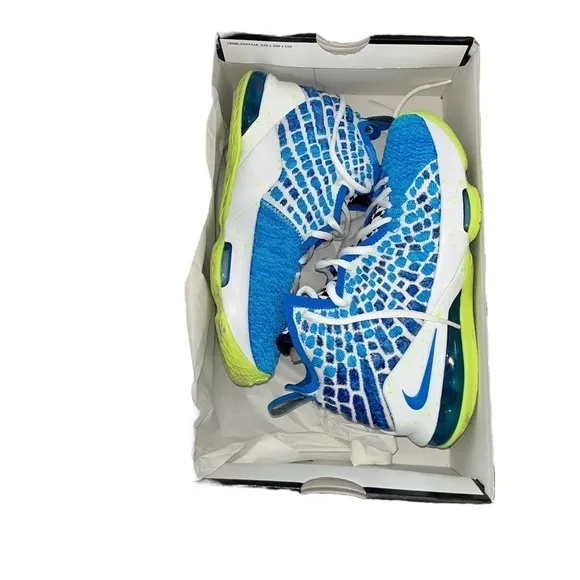 Lebron Sneakers