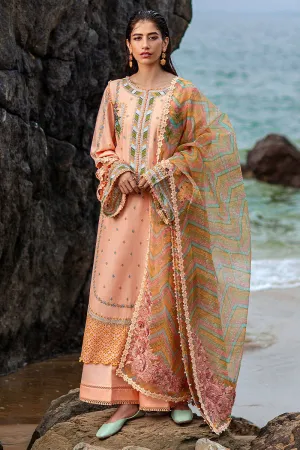 MOHSIN NAVEED RANJHA | FESTIVE LAWN COLLECTION '24 | RANI