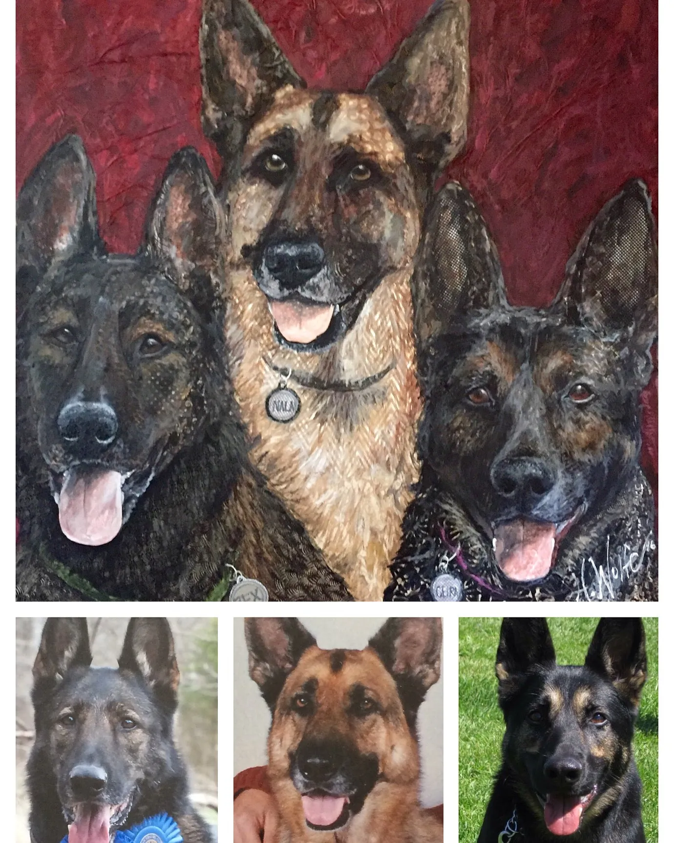 Multiple Pets - German Shepherd