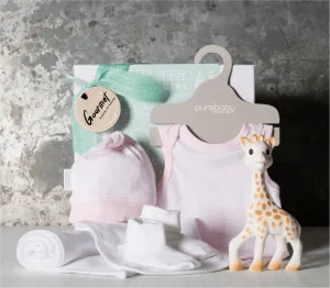 New Baby Girl Hamper