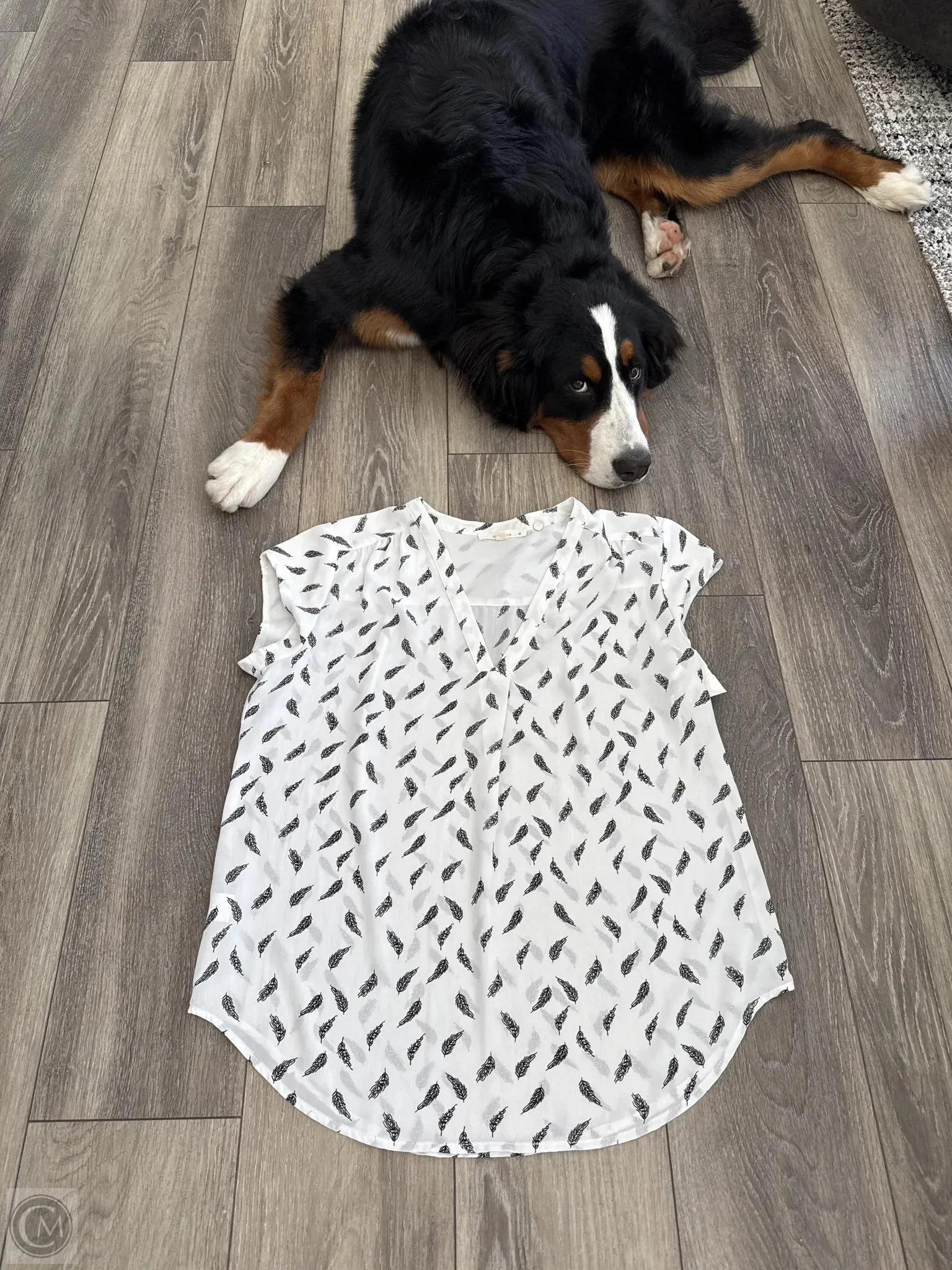 Top Short Sleeve By Fun 2 Fun In White, Size: M