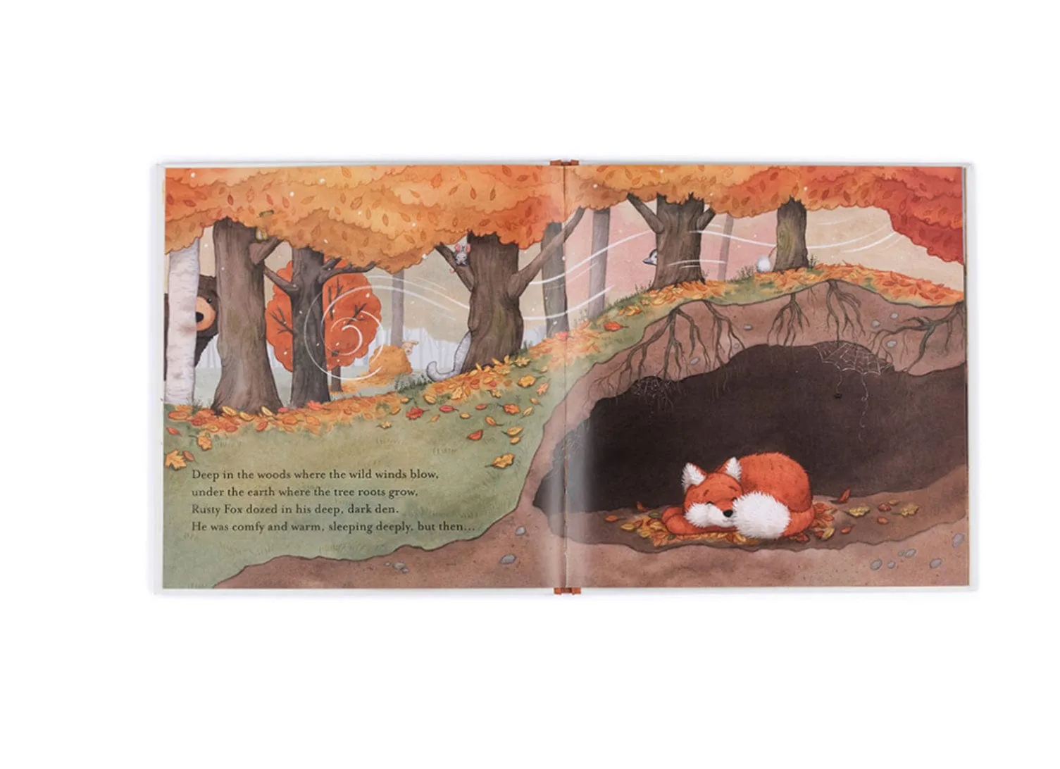 Warm In The Storm Book