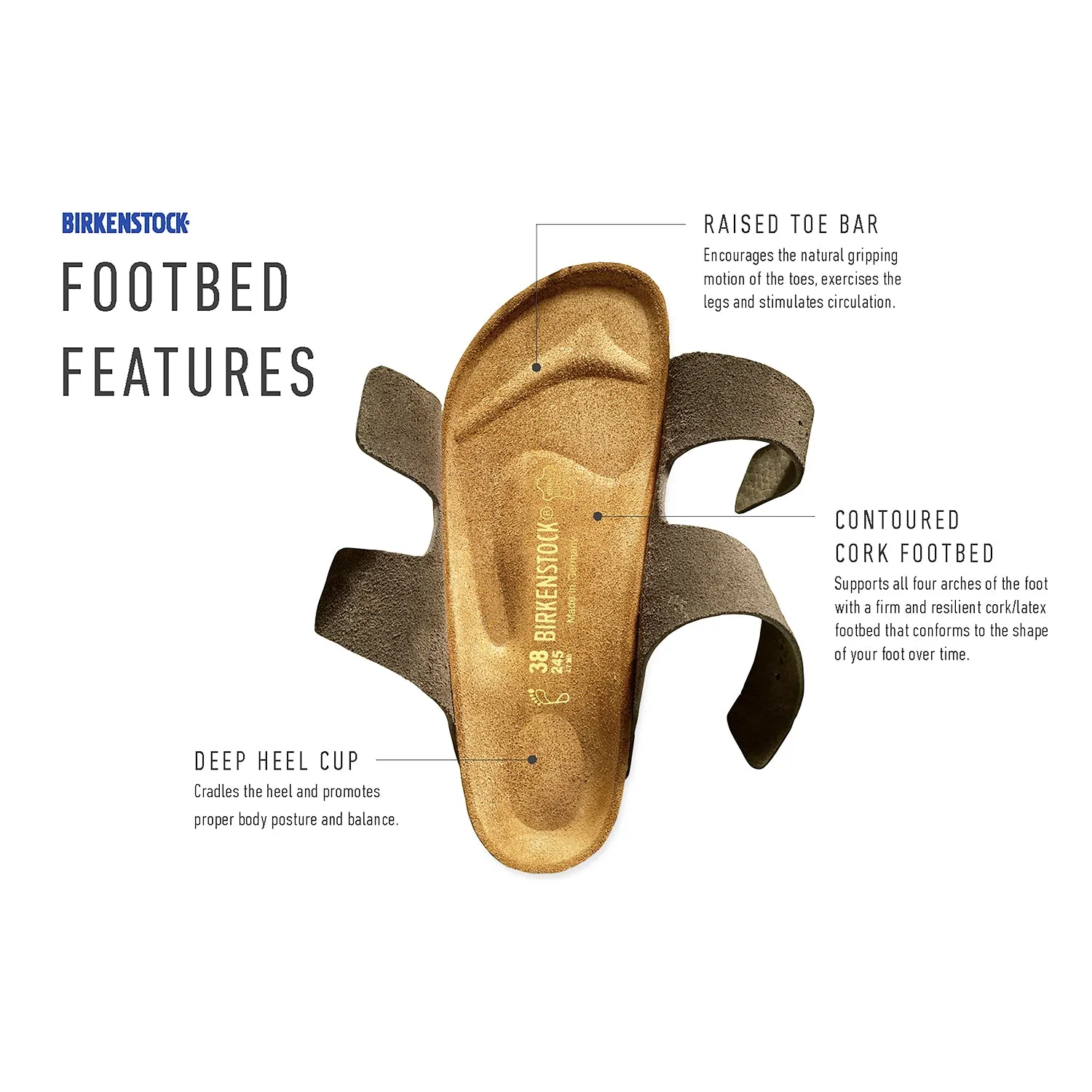 Women's Birkenstock Arizona Stone Coin Suede