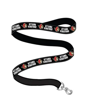 Woven Pet Leash